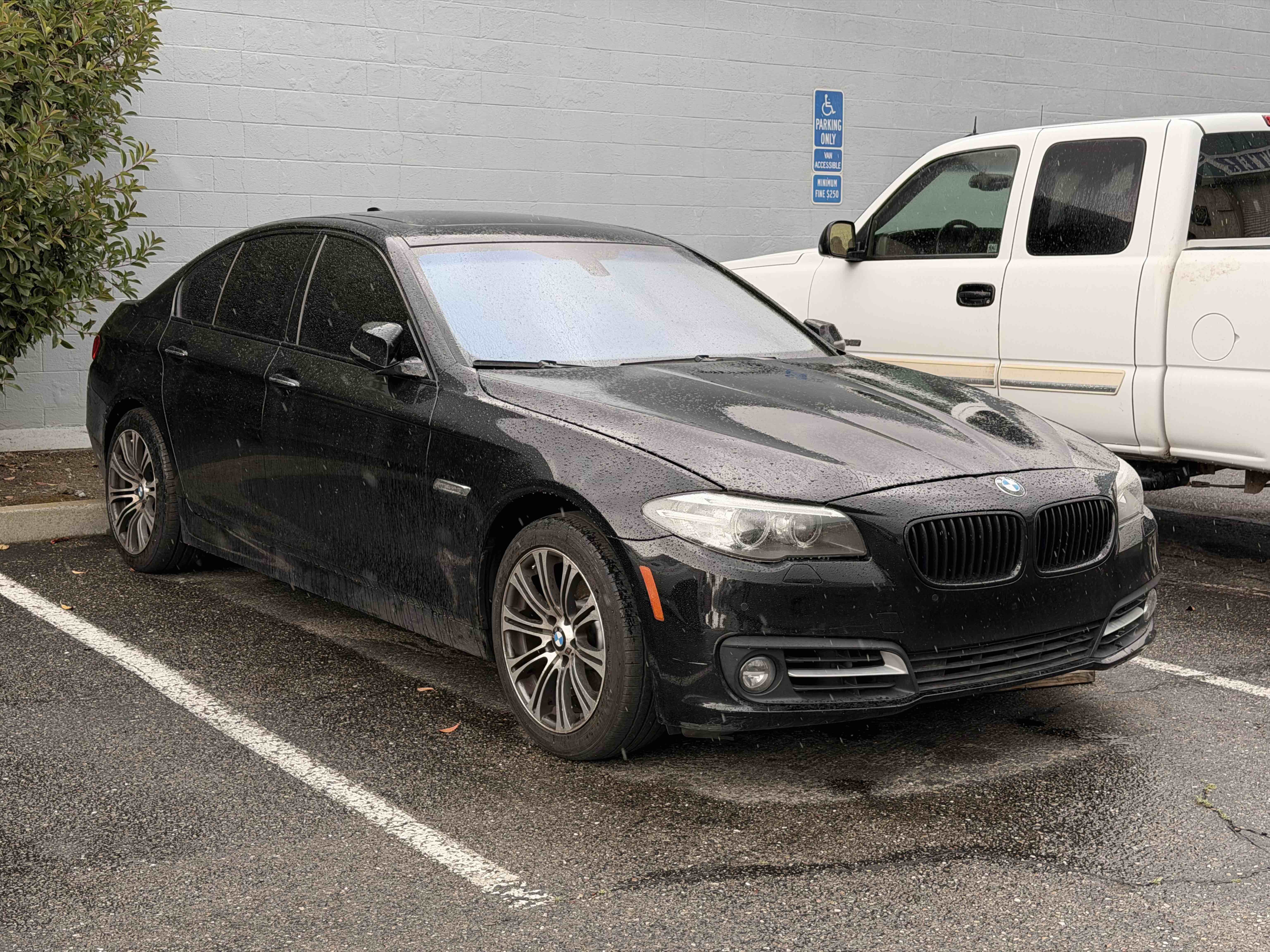 Photo 1 of 2 by Thy Sok