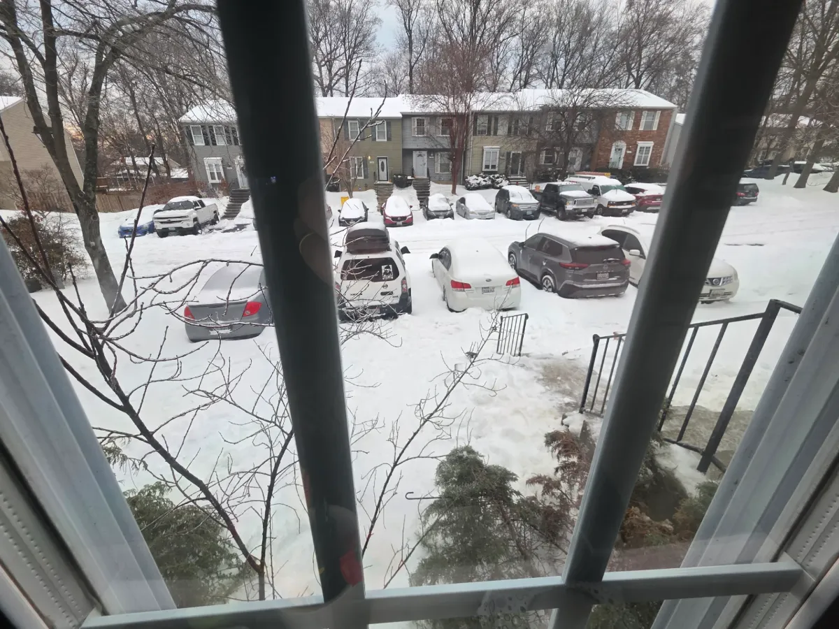 Post photo by Pip Vorn